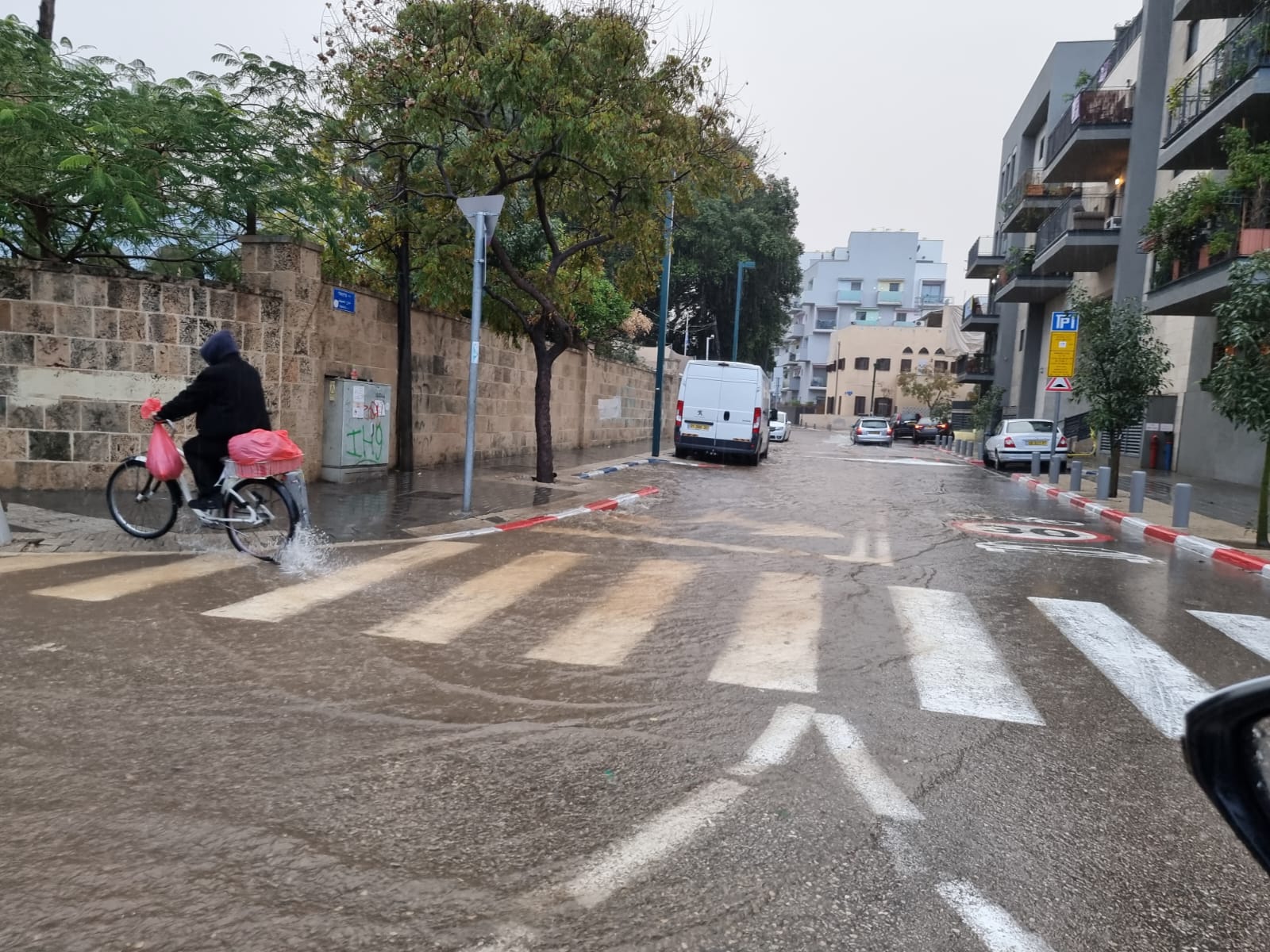 WhatsApp Image 2021-12-21 at 4.05.35 PM.jpeg